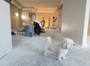 How to Design Home Renovation Homenumental