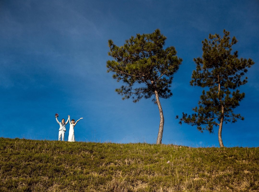 Is It Safe? What to Know Before Using an Auto Farm APK