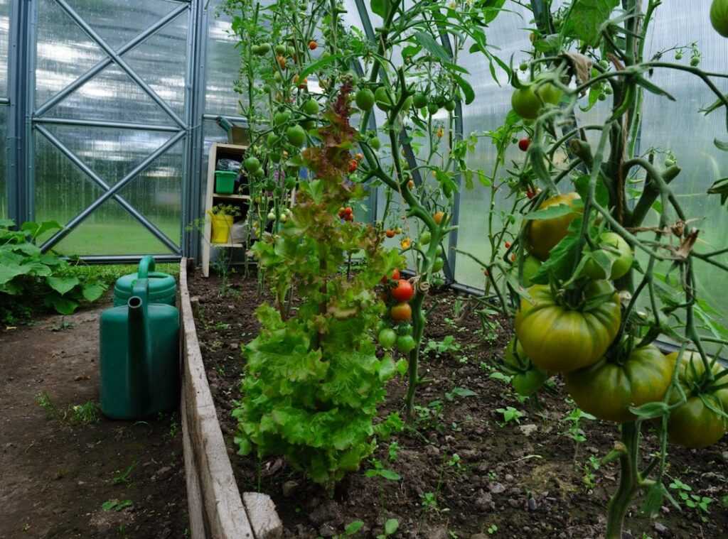 carbon footprint gardening