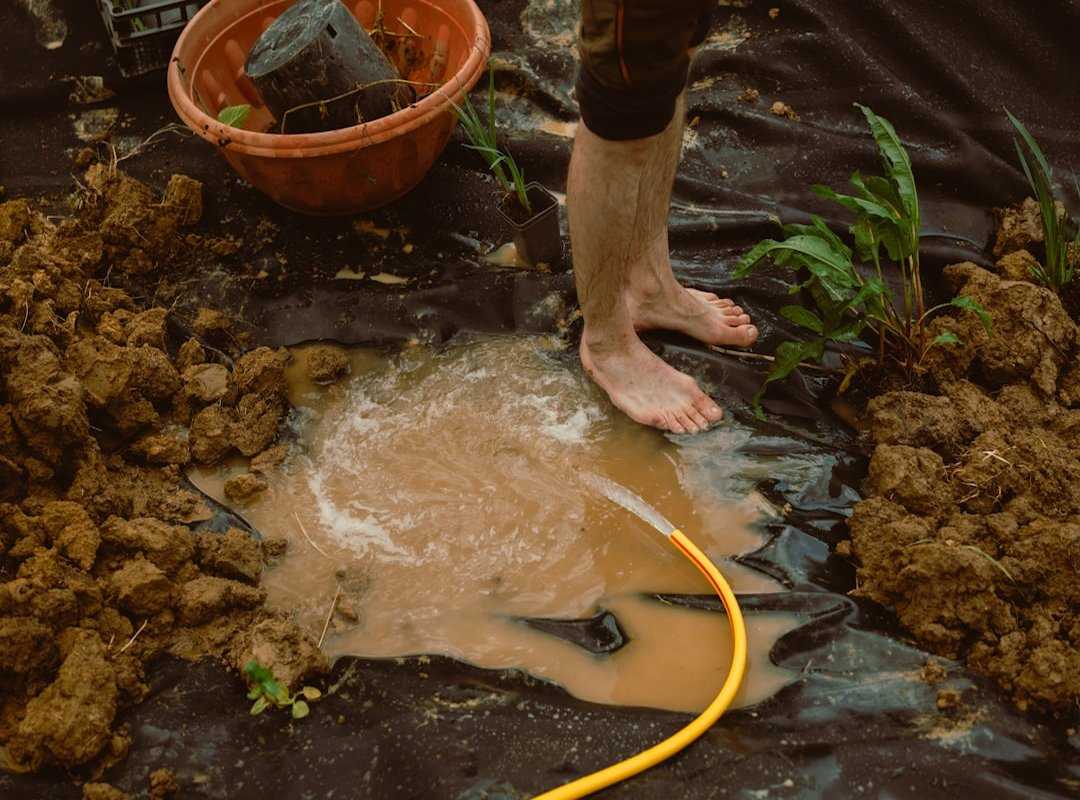 home composting guide