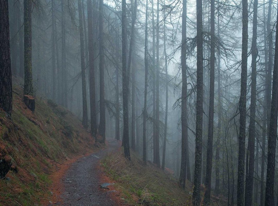 Warning: How to Spot and Avoid Phone Number Scams