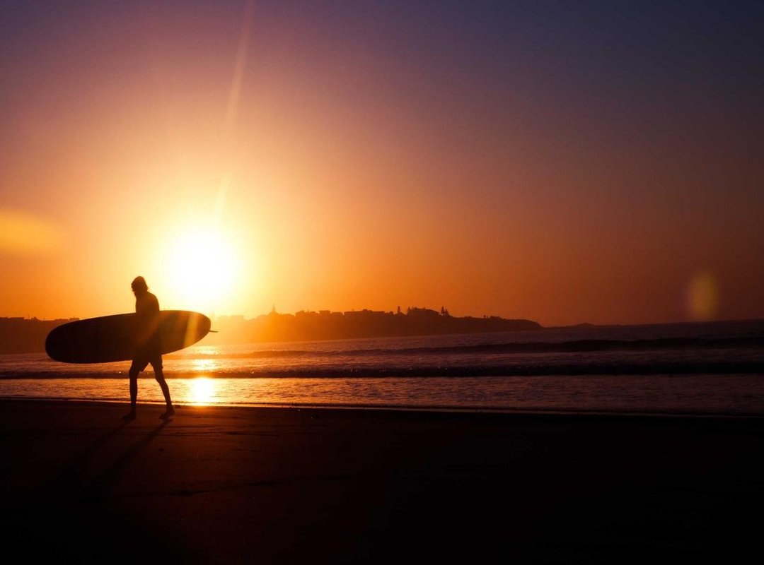 The Corporate Chapter: How Board Seats Supercharged Her Wealth