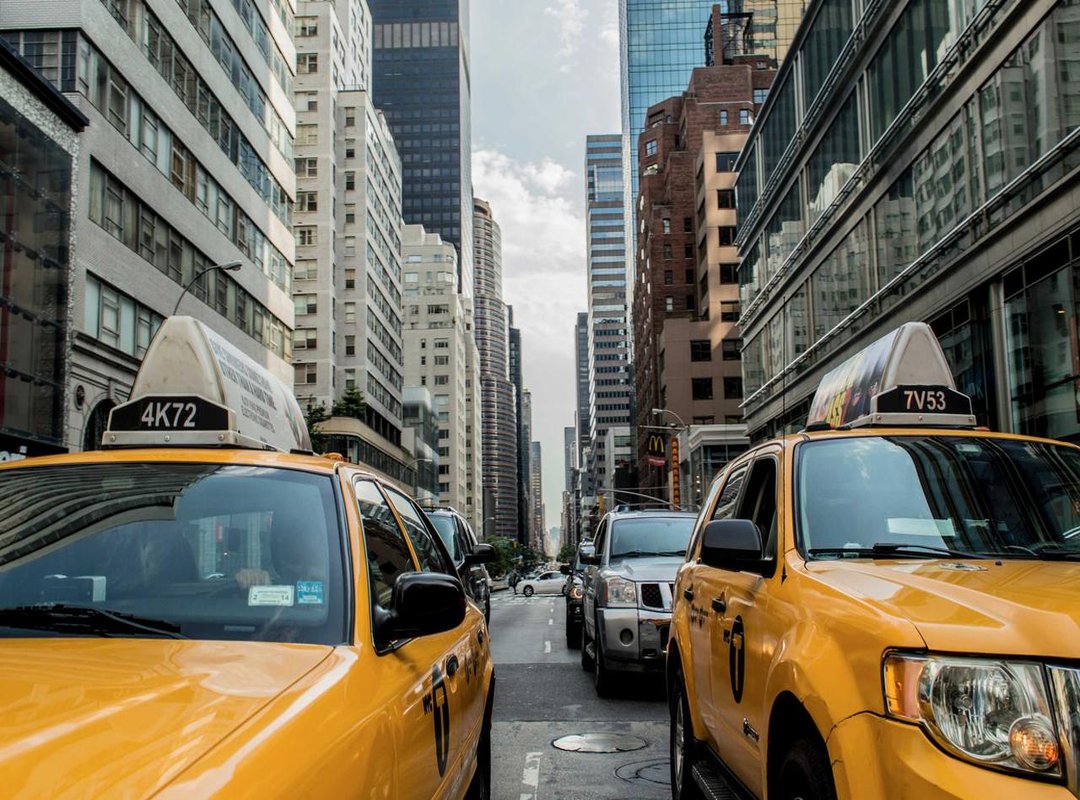 Your Weekend Project: How to Oil a Fence for a Perfect Finish