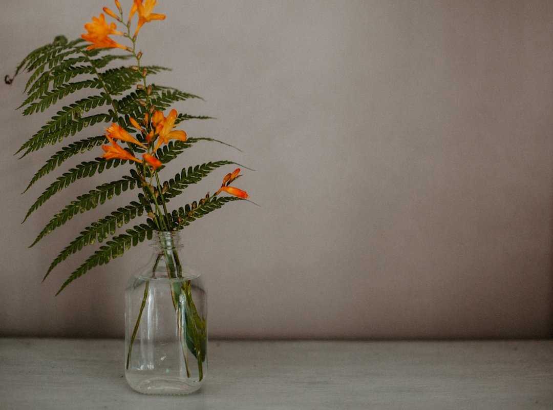 scandinavian interior design