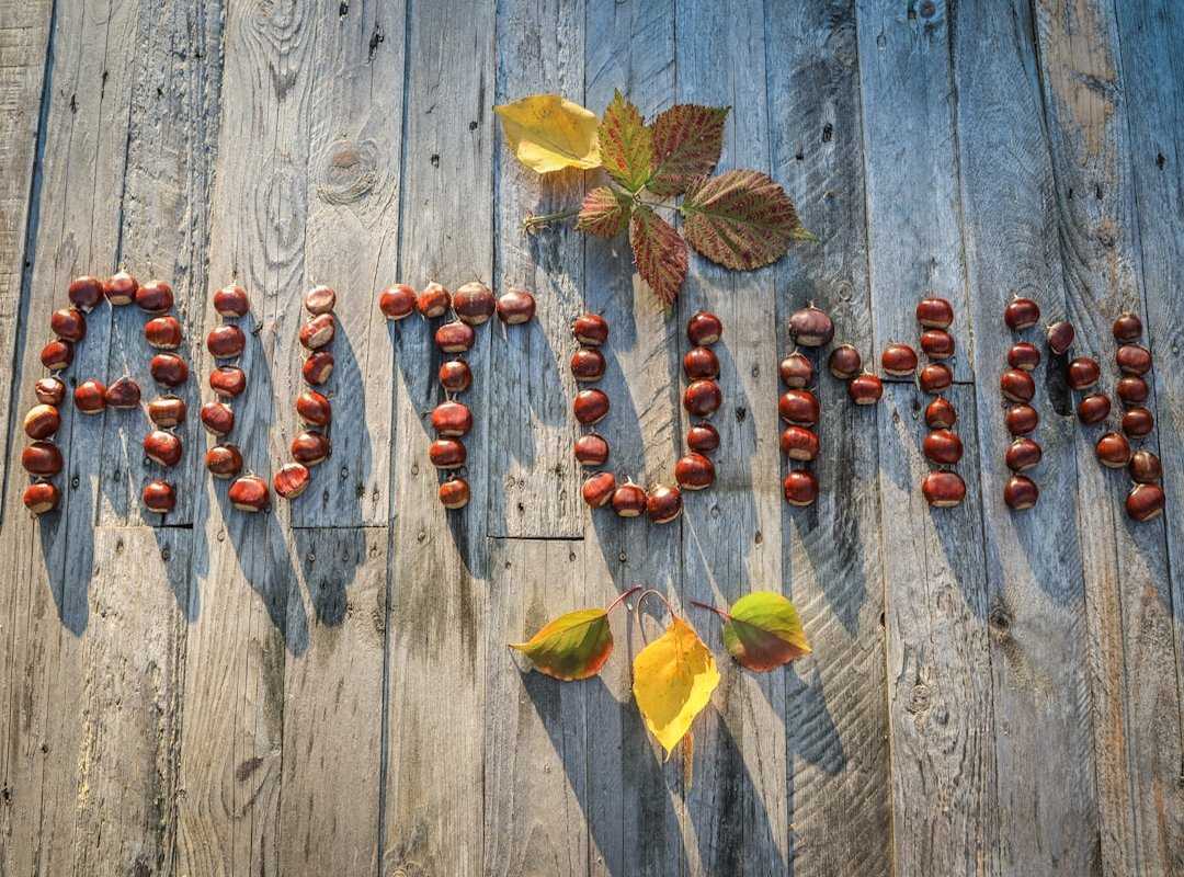 seasonal home maintenance
