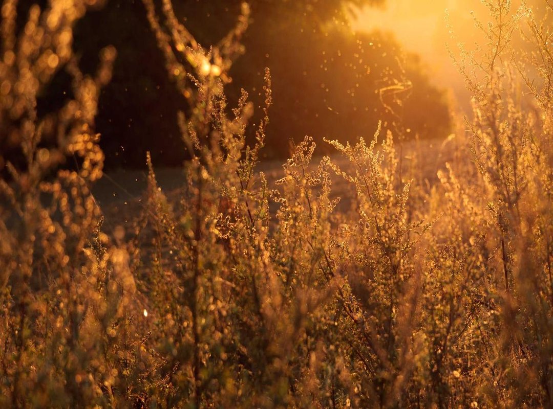 Frequently Asked Questions (FAQs)