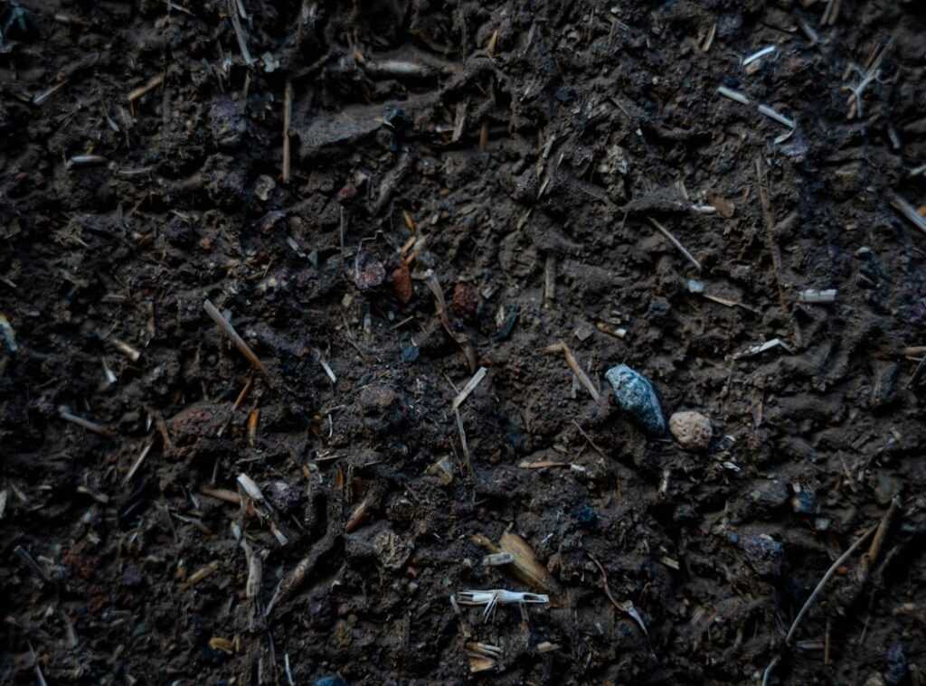 soil types gardening
