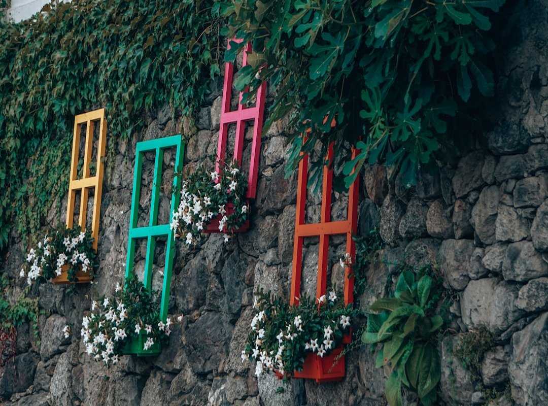 trending garden decor