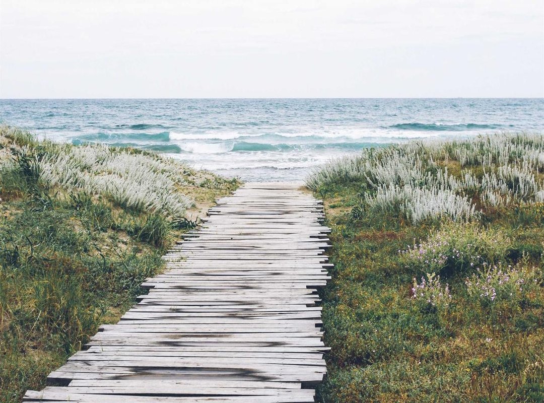 What to Expect in Episode XXIV: A Spoiler-Free Overview